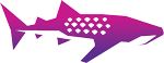 Whale Shark Creative
